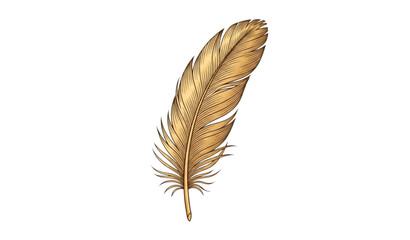 A golden feather illustration on a white background © MdAtaur