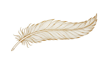 A golden feather icon illustration with a minimalist design © MdAtaur