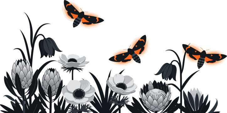 Colorful butterflies flying around white flowers in a field of black plants and grass landscape