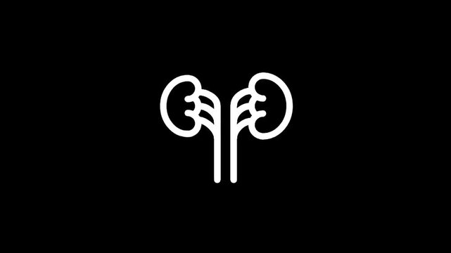 Stylized white outline of human kidneys with ureters on a black background