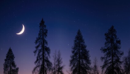 Fototapeta premium Crescent Moon Glowing Over Silhouetted Pine Trees Against Starry Deep Blue Night Sky