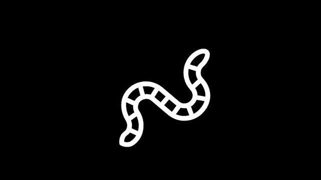 Simple white line drawing of a segmented worm on a black background