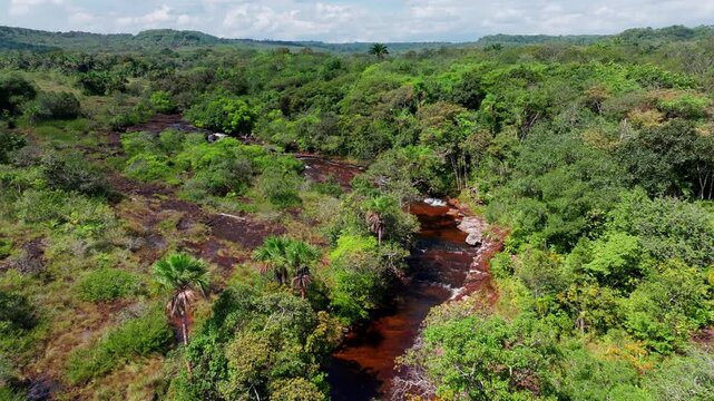 Drone view over a river at sunrise in the Amazon rainforest, capturing golden morning light, calm water reflections, and dense tropical forest stretching into the distance.
