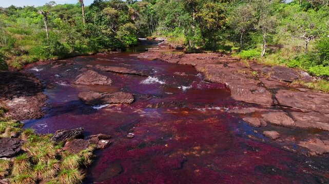Drone view of Ca&ntilde;o Sabana in Guaviare, Colombia, capturing a colorful river winding through tropical forest with vivid natural patterns and remote jungle scenery.