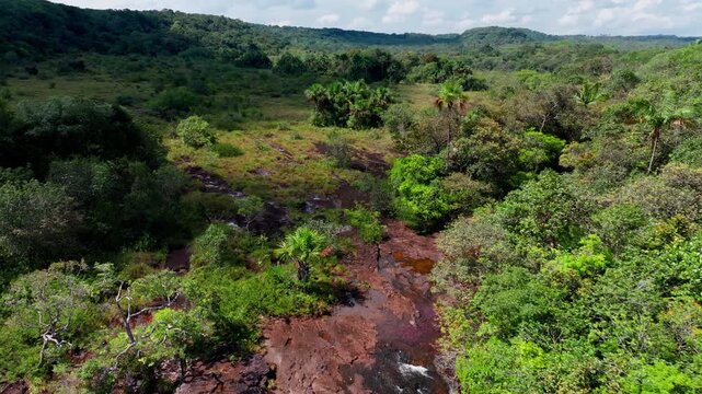 Aerial drone footage of Ca&ntilde;o Sabana highlights a vibrant riverbed in Colombia, surrounded by dense jungle and rich natural textures in the Guaviare landscape.