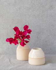 A set of bud vases with snowflake glaze with stem of Bougainvillea
