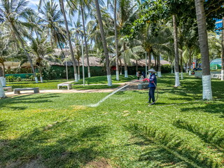  a green lawn with grass and palm trees. A man is watering the lawn with a hose. 