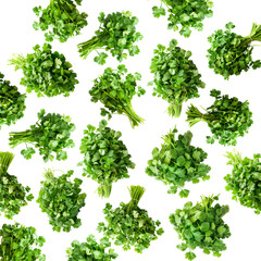Obraz premium Multiple cilantro bunches arranged in a seamless pattern, isolated on white background, concept of freshness and organic herbs