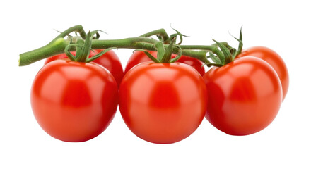 Fresh red cherry tomatoes on the vine isolated PNG, vibrant and juicy vegetables for healthy eating and culinary designs © Maria