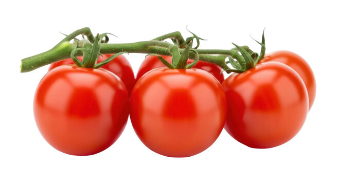 Fresh red cherry tomatoes on the vine isolated PNG, vibrant and juicy vegetables for healthy eating and culinary designs