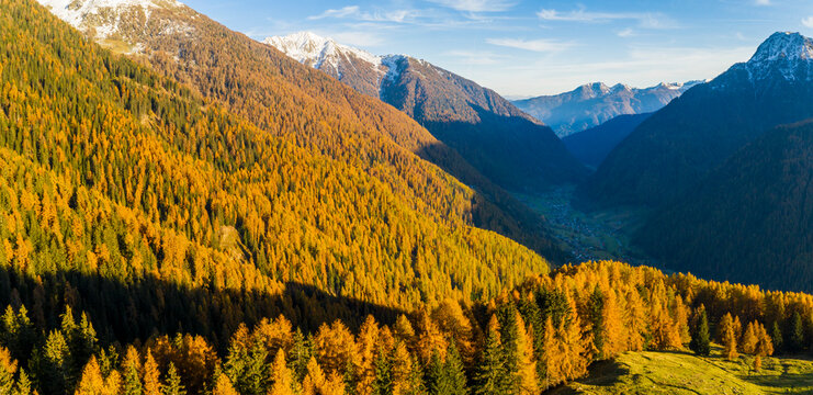 Aerial view of a mountain valley with golden autumn trees and snow-capped peaks in the distance under a blue sky. Rabbi valley,Stelvio National Park,Trentino,Italy