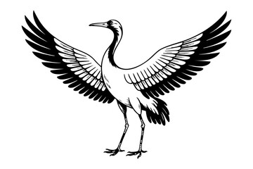 Fototapeta premium Crane bird vintage engraving illustration black and white drawing
