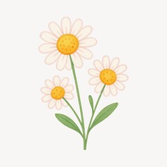 Fototapeta premium Charming daisies with green leaves.