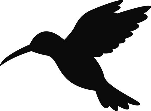 hummingbird silhouette vector