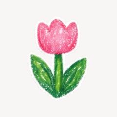 Fototapeta premium Chalk-drawn pink tulip illustration.