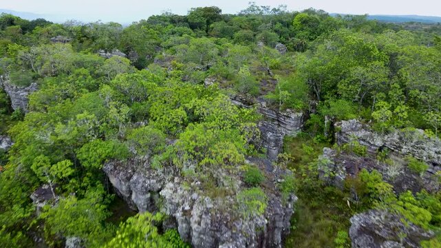 Stunning aerial view of rocky formations surrounded by dense green trees in San Jose del Guaviare, Colombia.