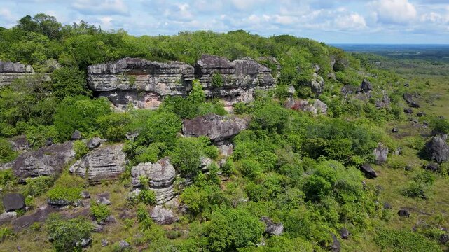 Aerial view of vibrant green vegetation covering rocky formations under a bright sky in Colombia's San Jose del Guaviare.
