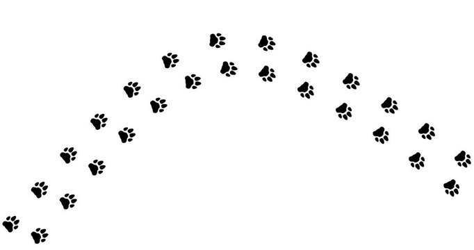 Black paw prints trail across a stark white surface. One print fades to gray, suggesting motion. Gentle curve suggests a playful animal's path. Perfect for pet-related or nature-themed content