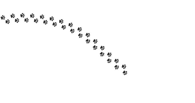 Black paw prints trail along a white surface. Clean lines show motion, direction, and purpose. No people, no animals, no plants. Ideal for travel, nature, or path concepts