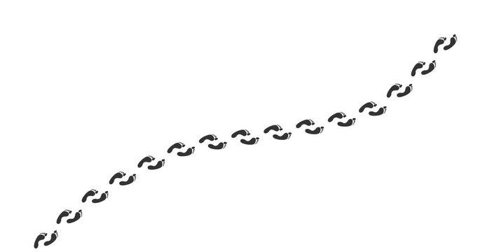 Footage shows a curved line of footprints. Prints stretch diagonally across the frame. Each mark is clear, distinct, and evenly spaced. Path suggests movement from one side to the other