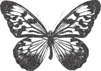 Butterfly vintage y2k stipple art, wings halftone stipple brutalist retro vector png with transparent background, flutter 2000s aesthetic photocopy effect tattoo © HoneyPunch