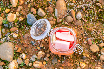 Pickled radishes in a transparent glass canning jar