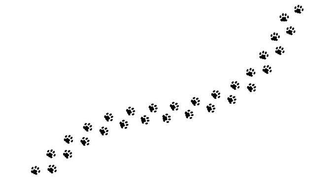 Black paw prints trail upward on a clean white surface. Each print clearly shows distinct toe pads. The trail ends near a small, round white mark. No animals or humans appear in this scene