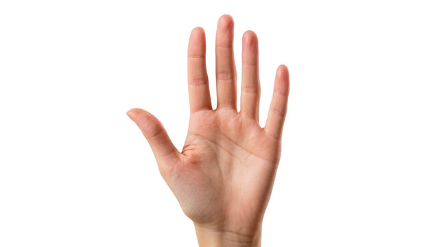 Isolated adult human hand with palm facing front, showing five fingers spread in a common gesture.