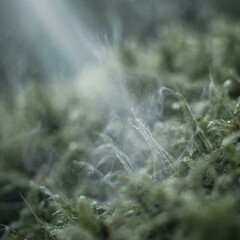 Noir Mist with Subtle Light Beam Fragment