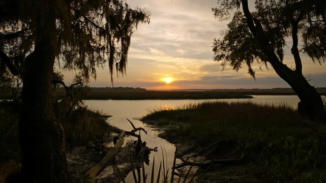 Sunset over the marshland in coastal South Carolina with trees Spanish Moss and water at dusk