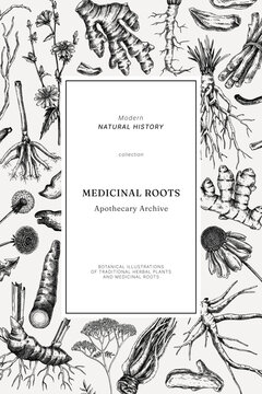 Medicinal roots frame design. Herbal ingredients hand drawn vector illustration. Vintage apothecary plant background. NOT AI generated