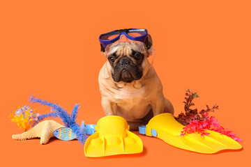 Cute French bulldog with diving mask and flippers on orange background © Pixel-Shot