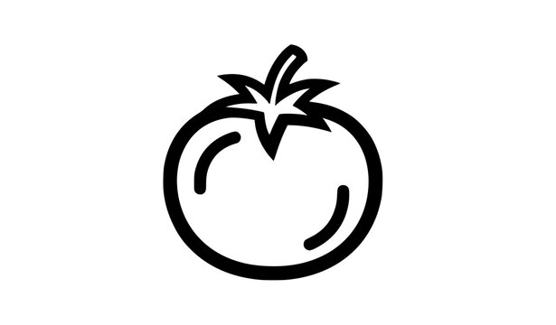 Simple tomato outline icon black line vegetable pictogram vector ui design