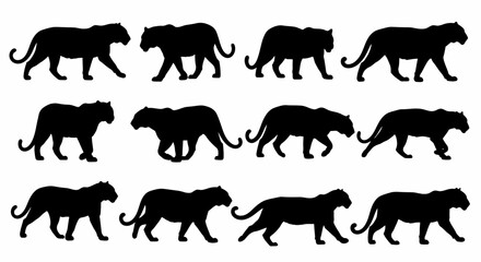 Obraz premium Twelve Striking Tiger Silhouettes in Diverse Walking Poses, Ideal for Vector Graphics, Animal Illustrations, and Wildlife-Themed Design Assets