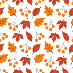 Obraz premium Autumn leaves and berries pattern on white background