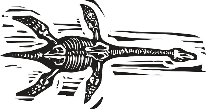 Woodcut style image of a Plesiosaurus Fossil