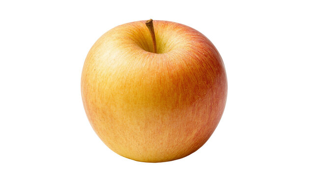 Isolated fresh ripe whole red and yellow apple with stem, vibrant and healthy organic fruit