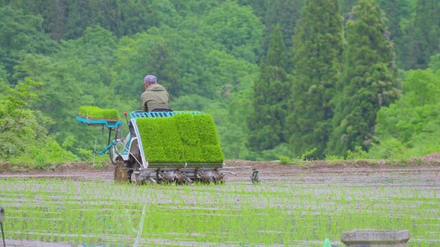250531結東の石垣田