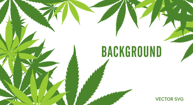 Green Cannabis Leaves Border Background