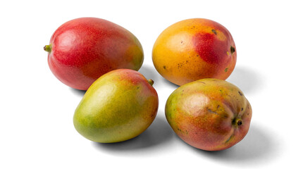 photograph of four ripe mangoes, vibrant colors, with a transparent background, studio lighting, healthy exotic fruit.