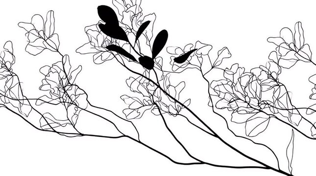 Black and White Floral Branch Animation.