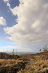 Obraz premium Autumn Lowland Landscape with Vertical Composition and One-Third Sky