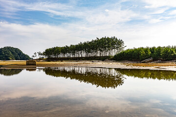 Obraz premium 반영