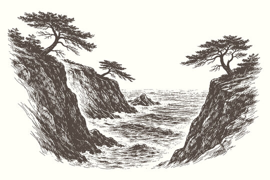 Detailed engraving illustration of rugged coastal cliffs with windswept pine trees overlooking a turbulent ocean for vintage nautical and travel decor.