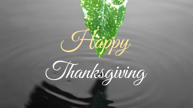 Animation of happy thanksgiving text banner against close up of water dripping through a leaf