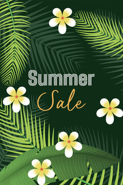 Summer Sale Banner with Tropical Monstera Leaves and White Flowers on Green Background