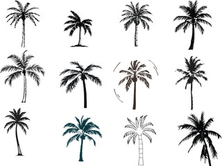 Fototapeta premium Black palm tree silhouette set, tropical hibiscus flowers vector collection, Hawaiian beach paradise elements, coconut palm outlines illustration, exotic island flora graphic pack, vacation the