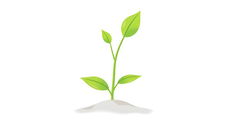 Fototapeta premium plant, seedling, sprout, young, growth, soil, dirt, earth, ground, root, leaf, leaves, stem, green, nature, garden, gardening, agriculture, farming, ecology, eco, environment, natural, organic, fresh,