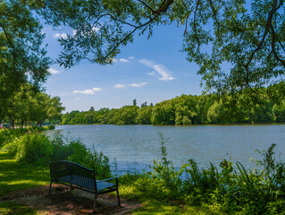 Fototapeta premium Empty Metal Bench Facing a Peaceful Lake Surrounded by Green Trees