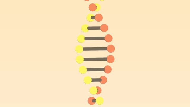 Animation of dna strand on pink background